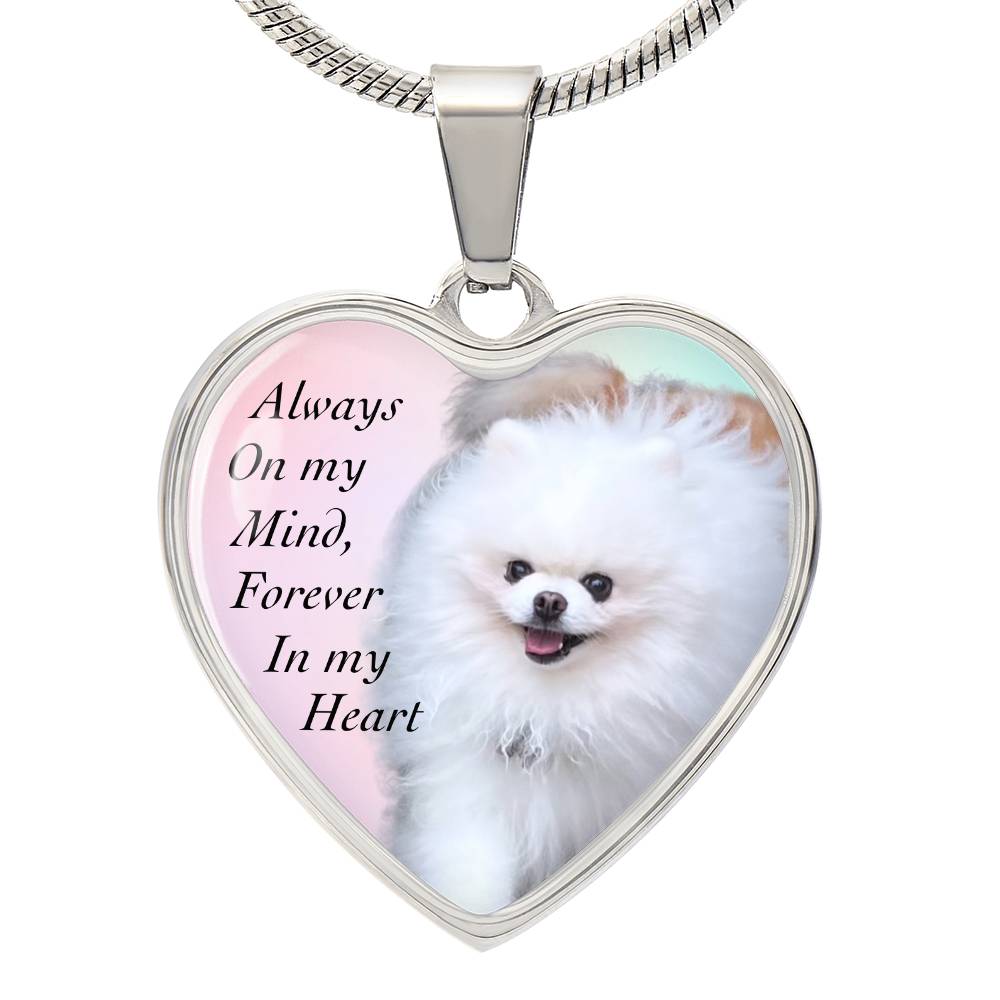 Pomeranian Dog Memorial Always On My Mind