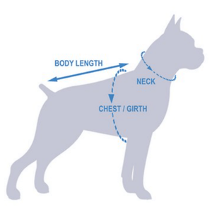 How to Measure dog Size