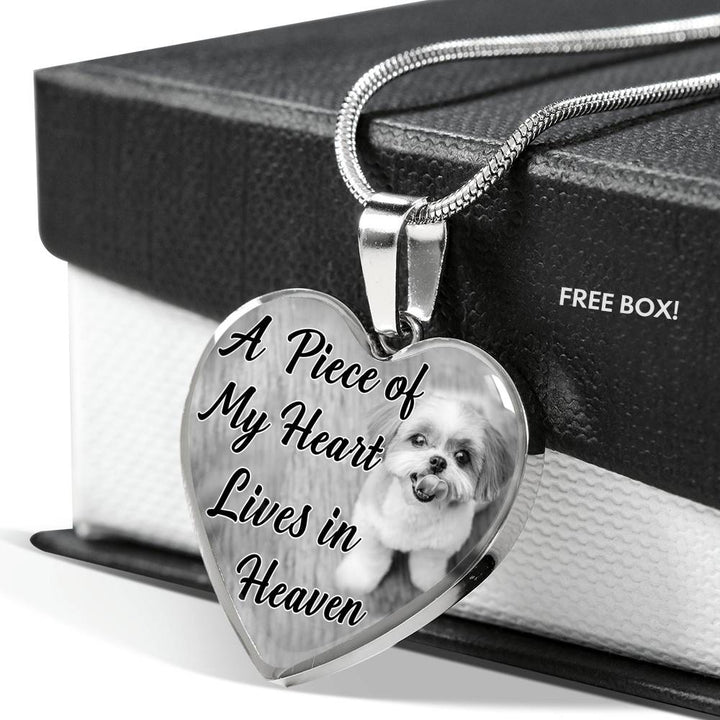 Dog lockets store online