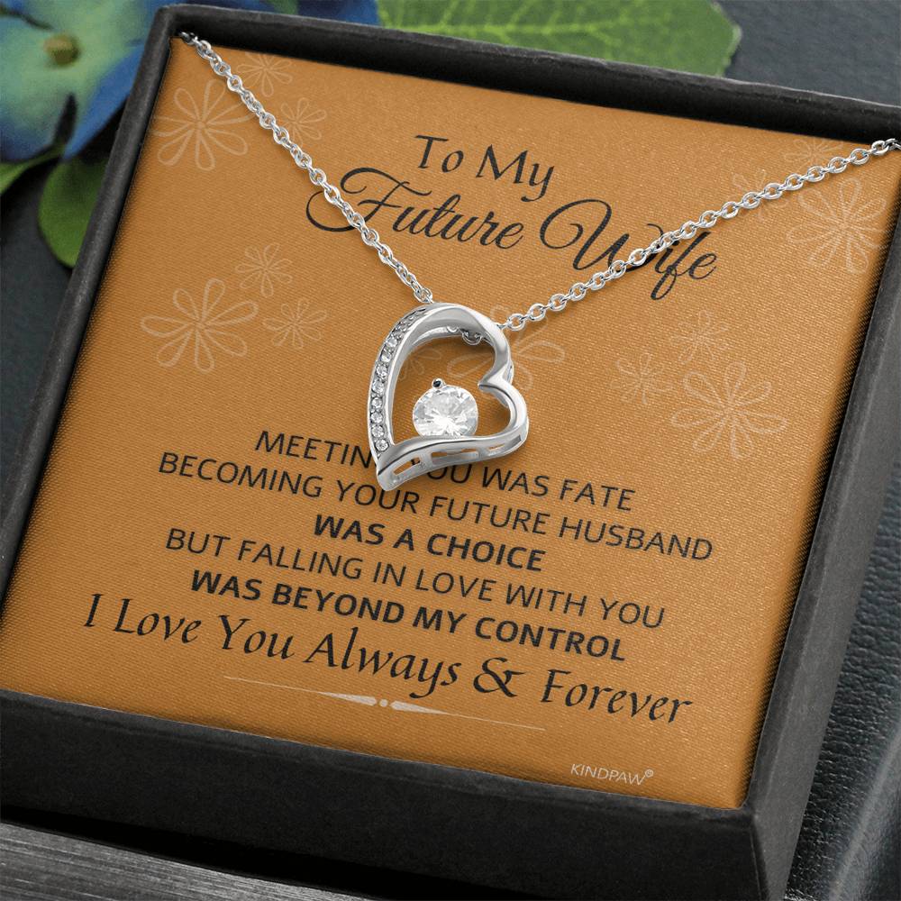 To My Future Wife Love Necklace - Meeting you was fate, Becoming your future husband was a choice